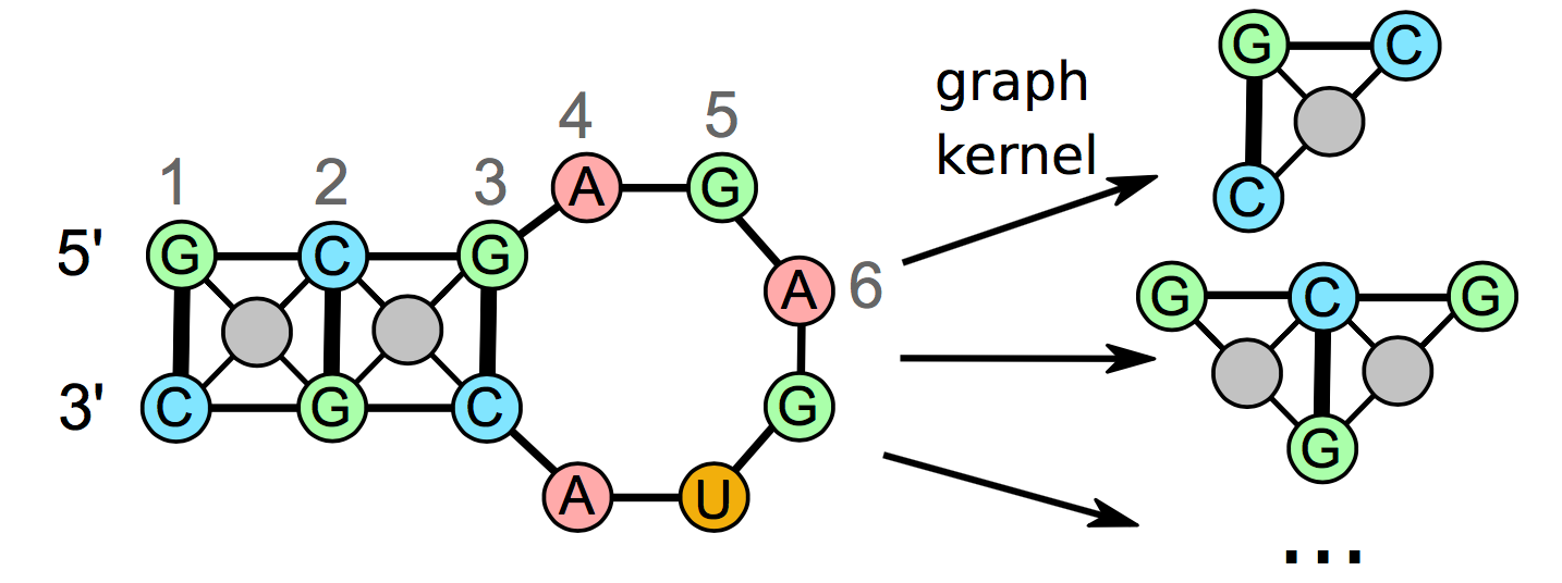 graph_kernel